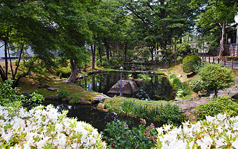 自然・景観／盛岡城跡公園